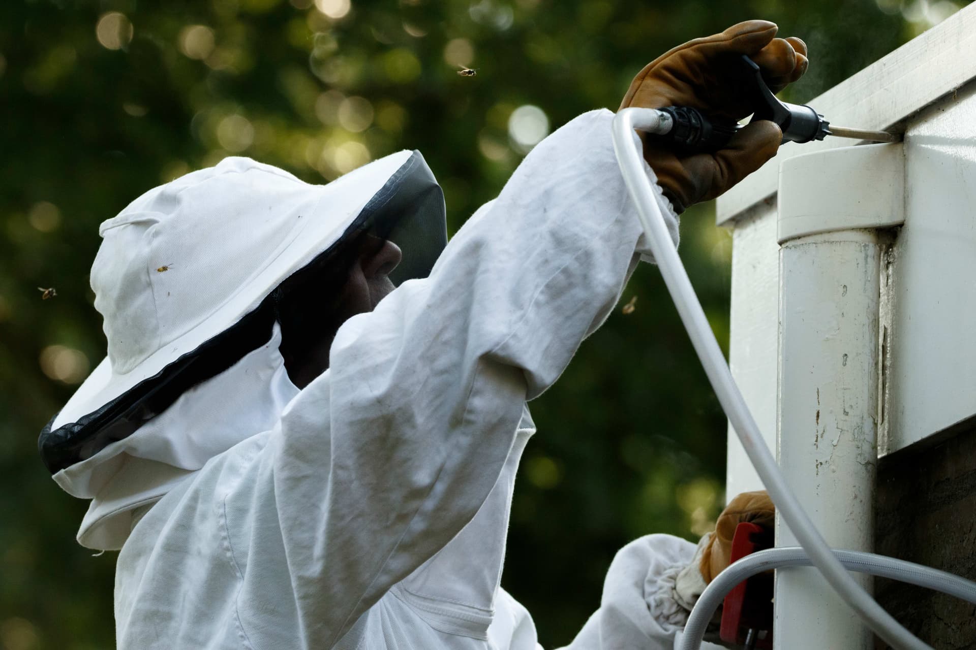 Technician in a full bee suit spraying a nest under an eave