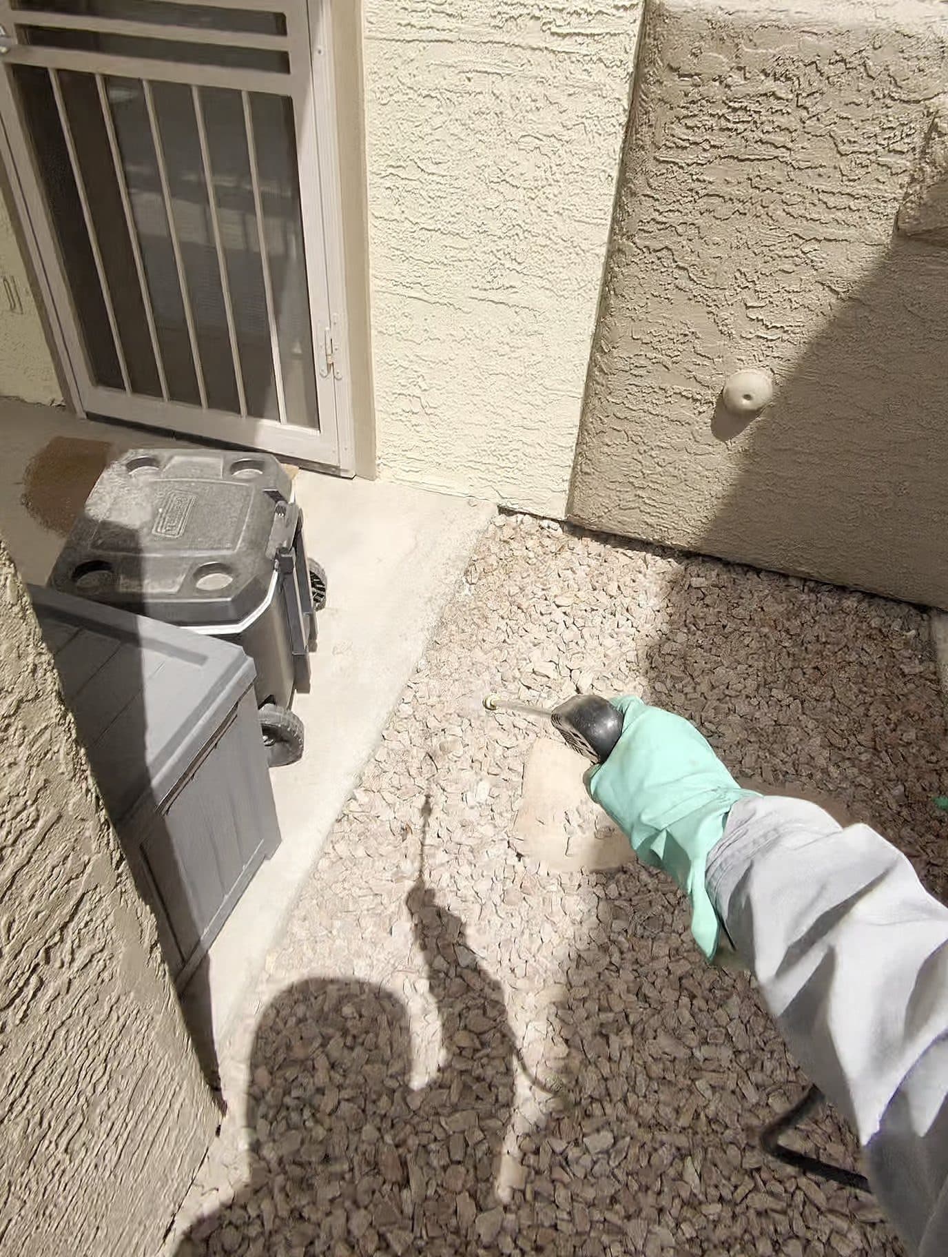 Property Pest Control technician diagnosing a pest problem at a Phoenix-area home