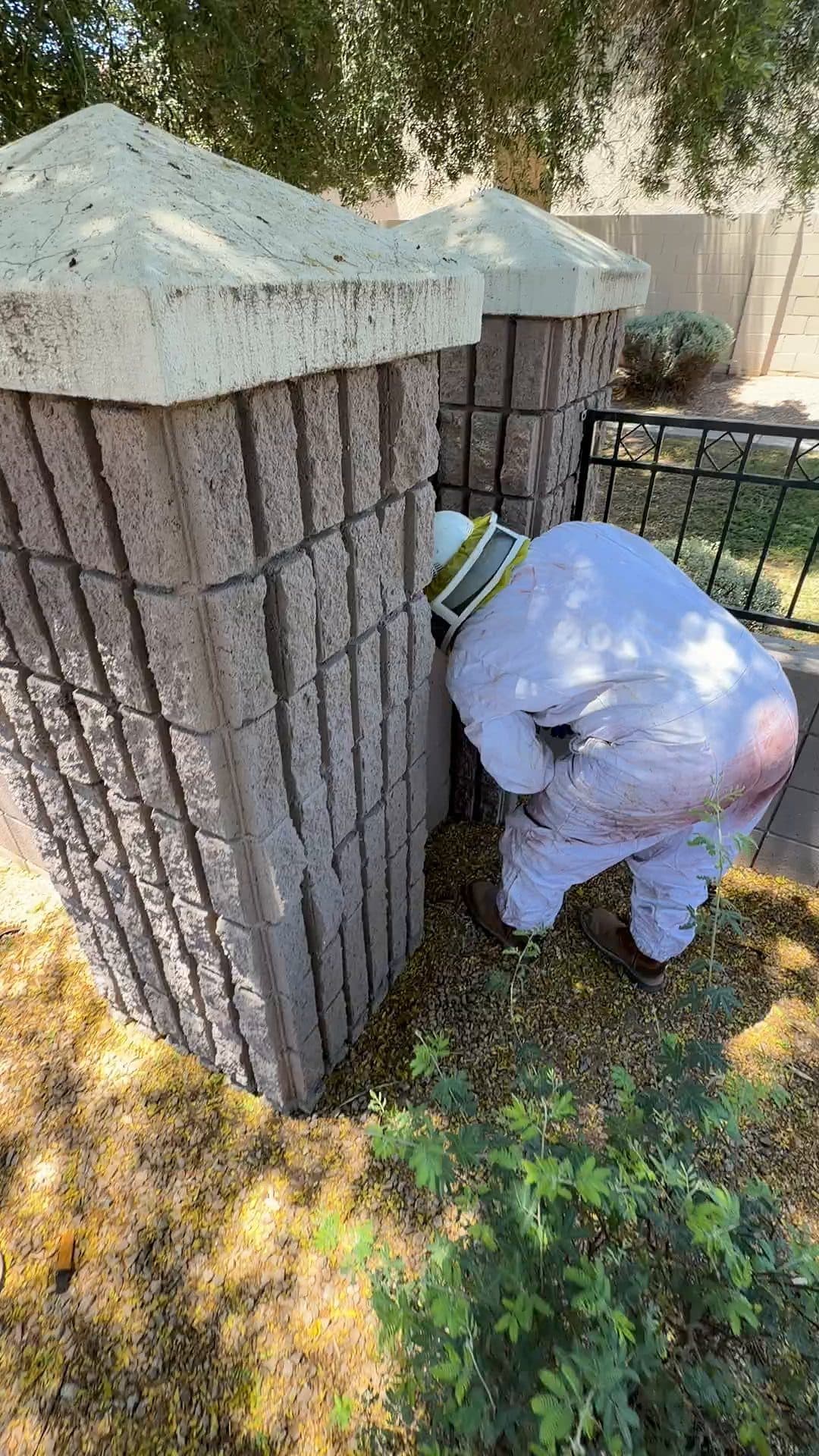 Technician treating a block wall column where Arizona bark scorpions hide