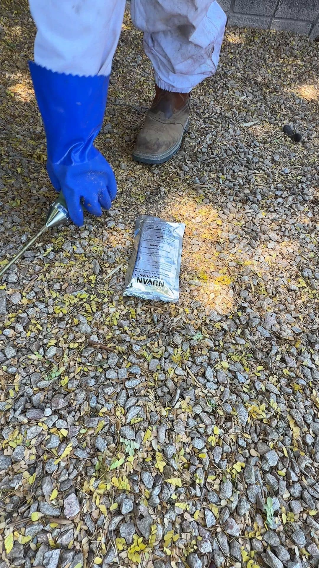 Technician applying granular pest bait around a Phoenix home