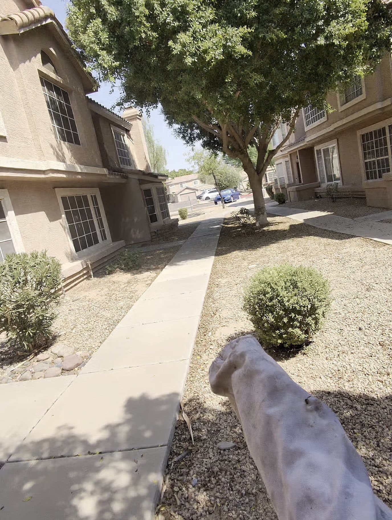 Community sidewalk between residential buildings