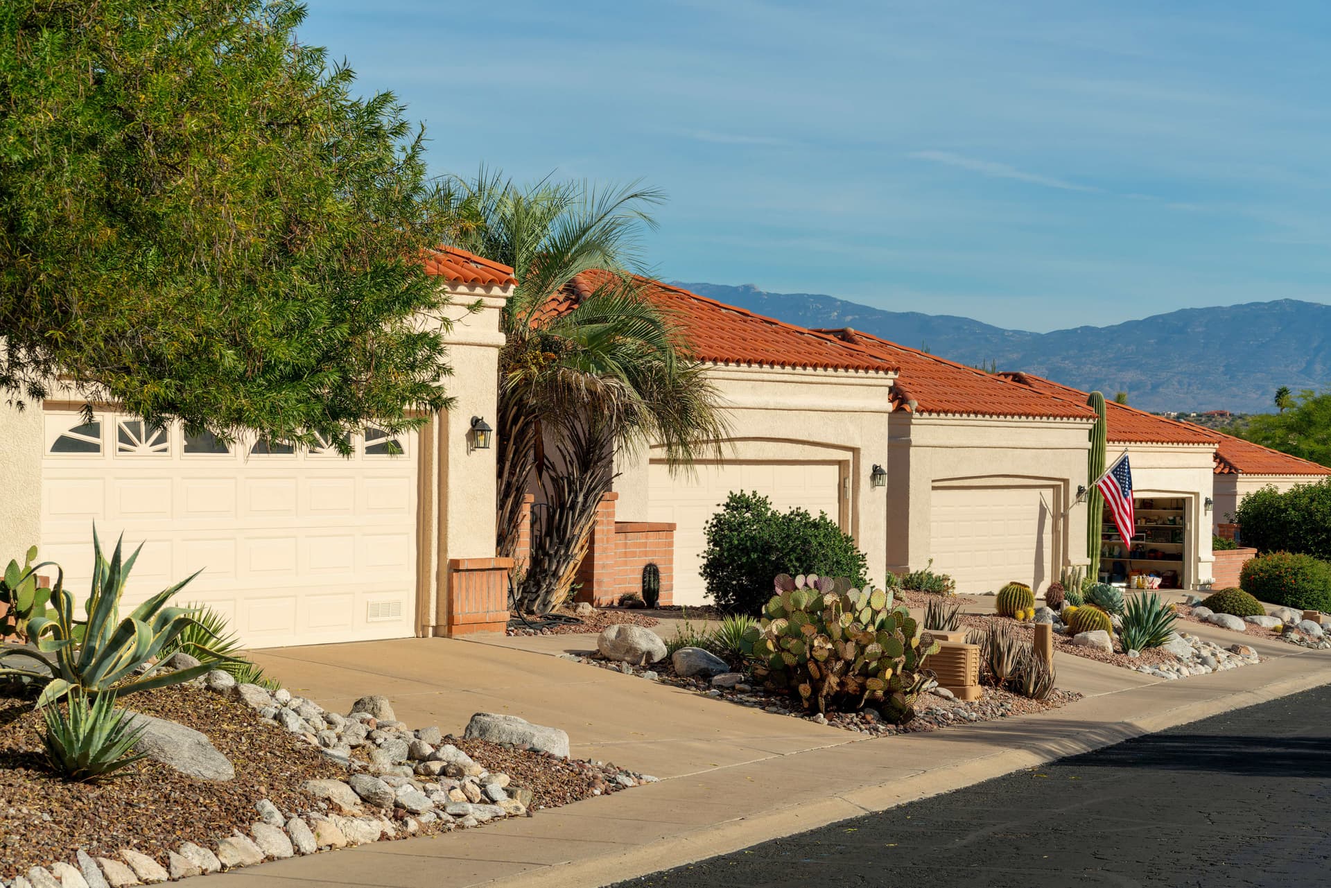 A row of Phoenix-area desert homes with cactus landscaping below the mountains