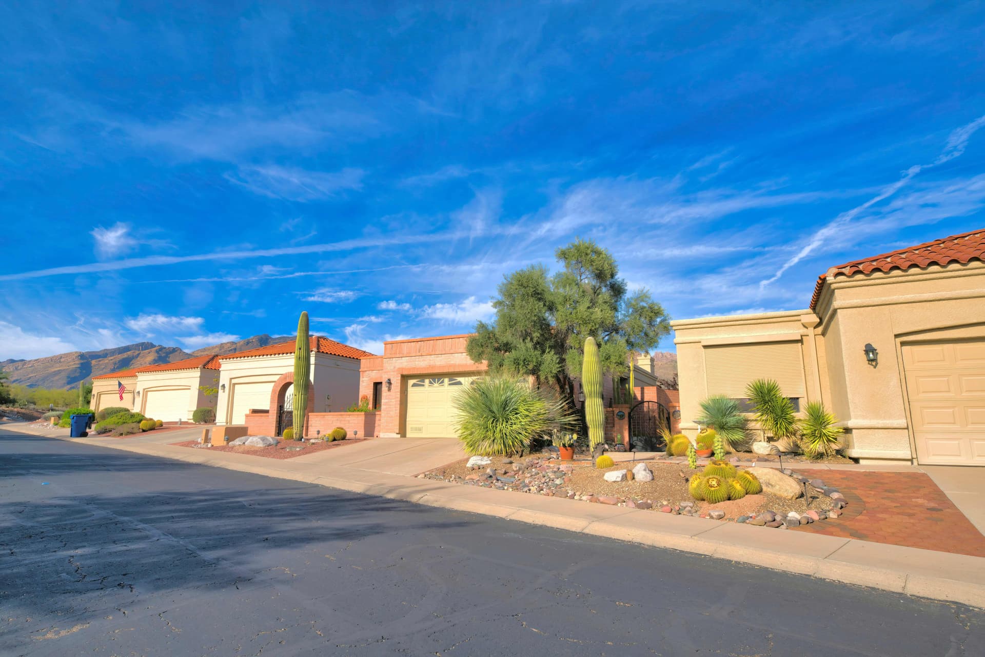 Arizona desert homes with saguaro cactus and mountain views in the Phoenix Valley