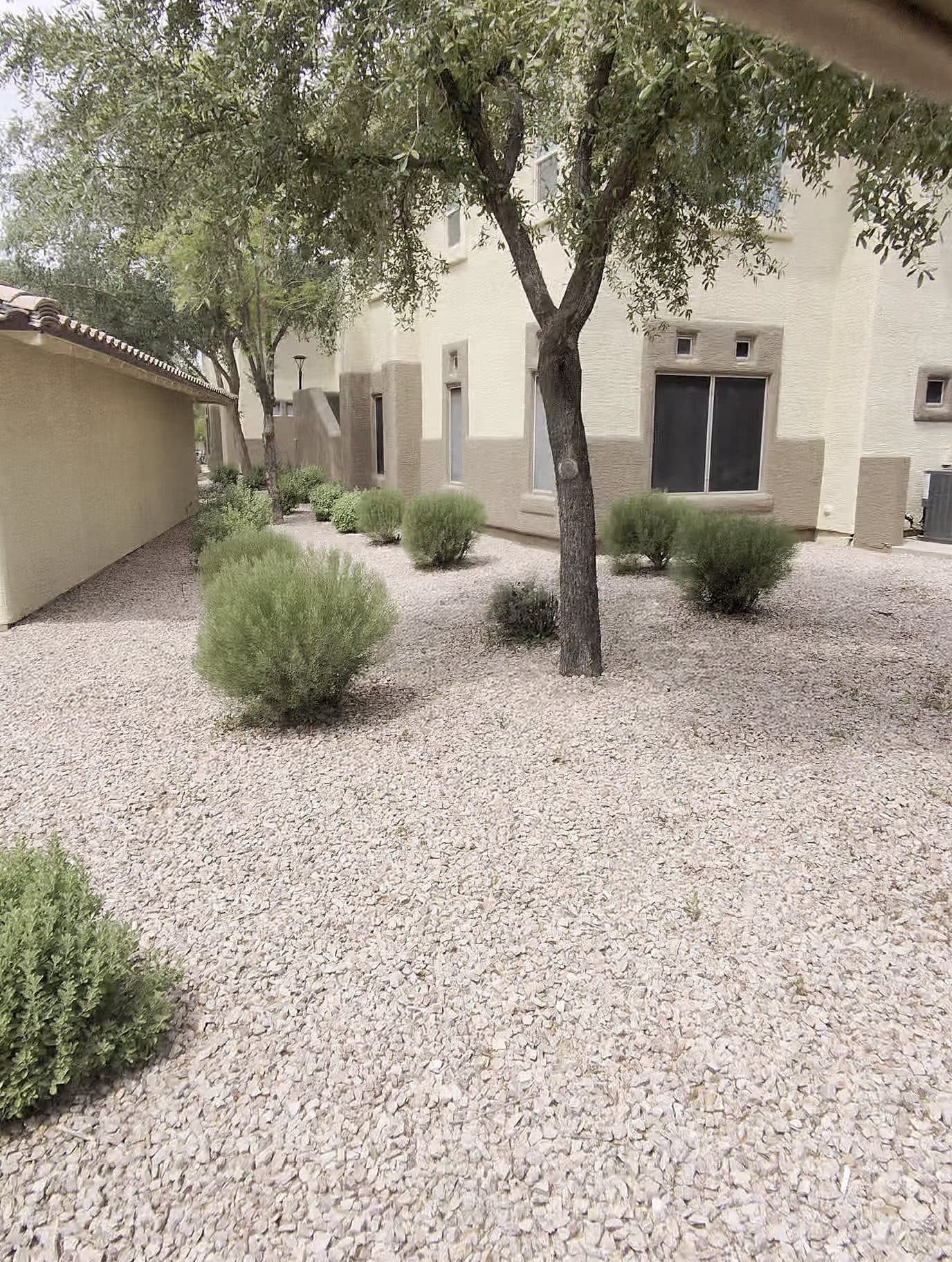 Shaded community courtyard with desert landscaping