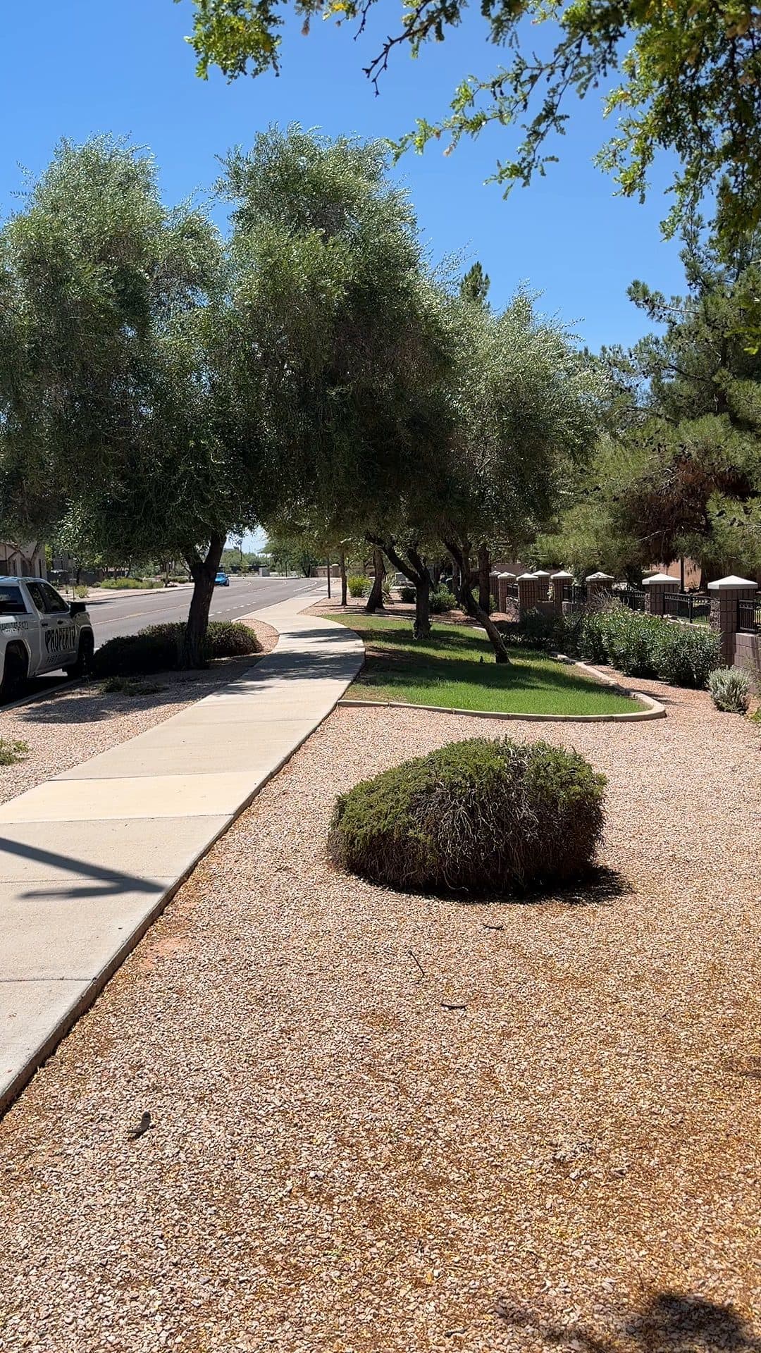 Shaded landscaped walkway in an Arizona community