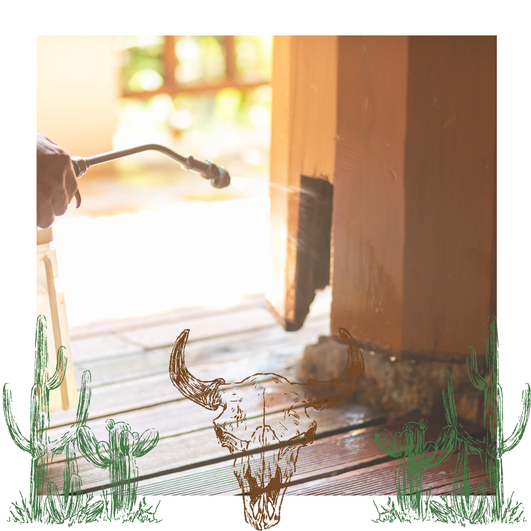 Termite Pest Control